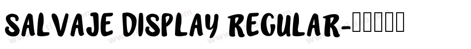Salvaje Display Regular字体转换